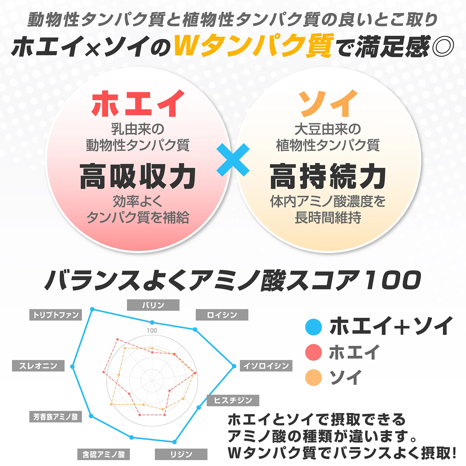 完全栄養プロテイン チョコレート風味 750g - Image 4