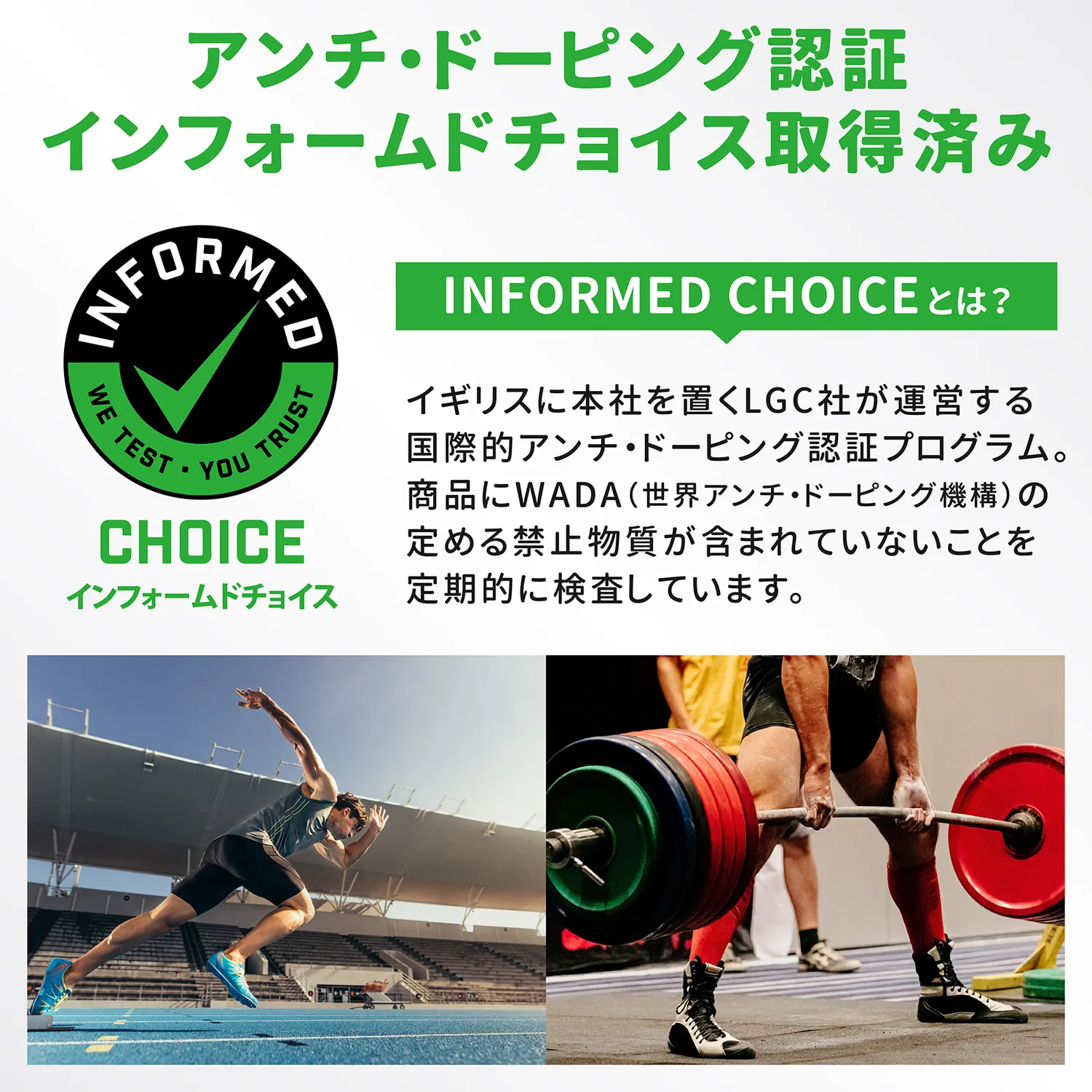クレアチン モノハイドレート パウダー - Image 7