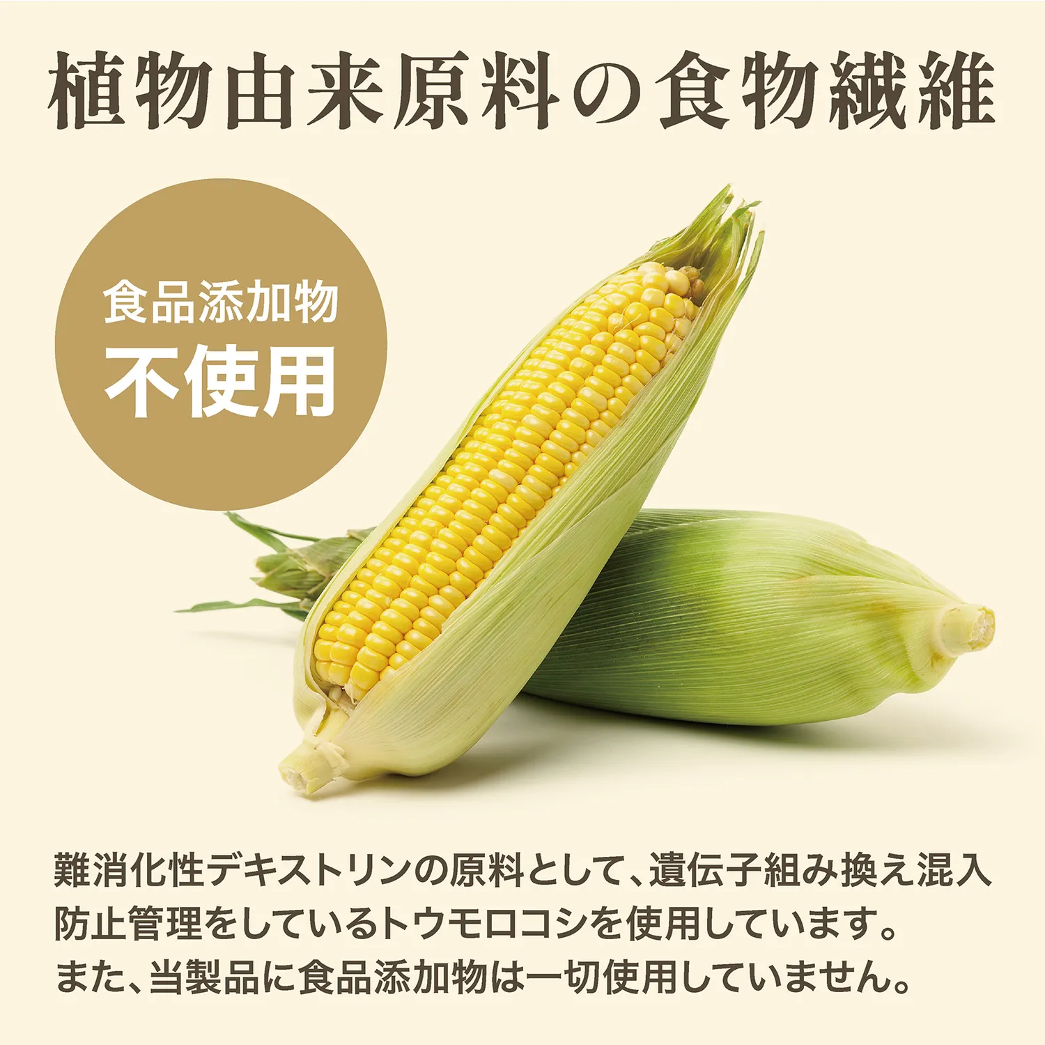 難消化性デキストリン - Image 6