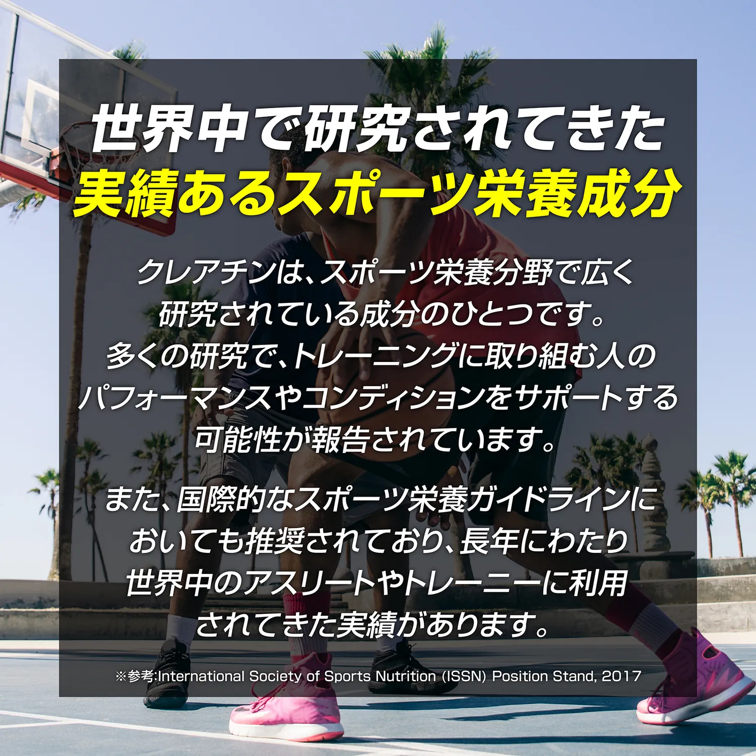 クレアルカリンタブレット 270粒 - Image 14
