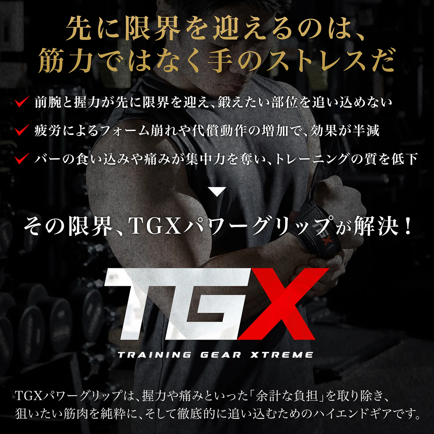TGX パワーグリップ - Image 5