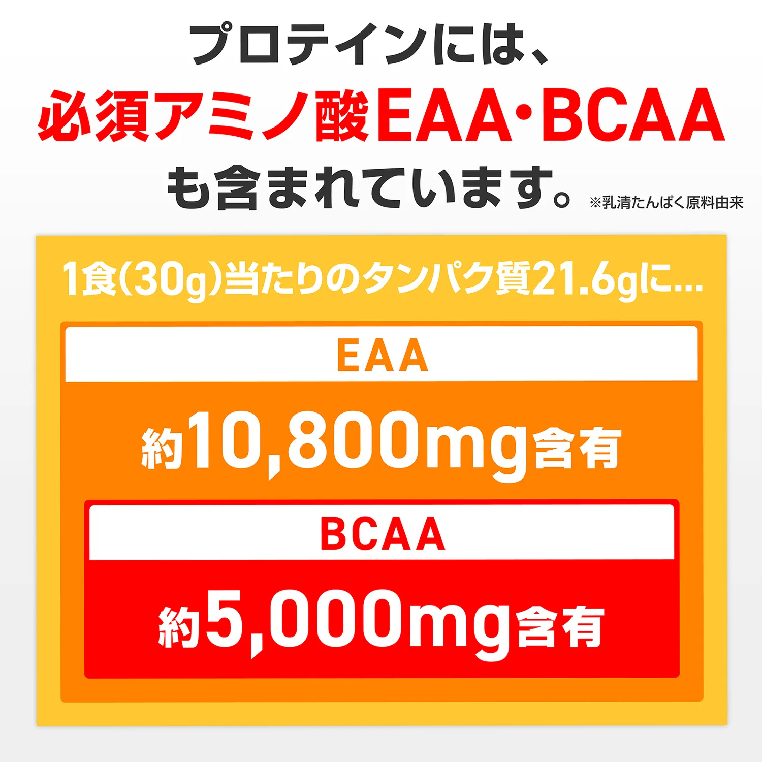ホエイプロテイン100 ベーシック - Image 9